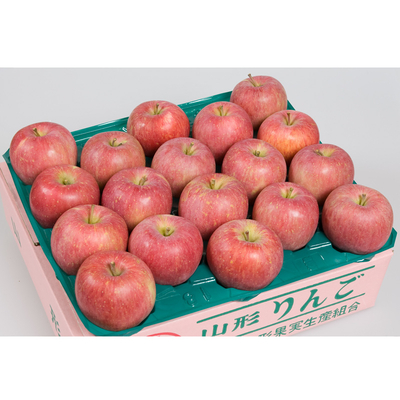 山形サンふじ 約5kg 14～18玉前後