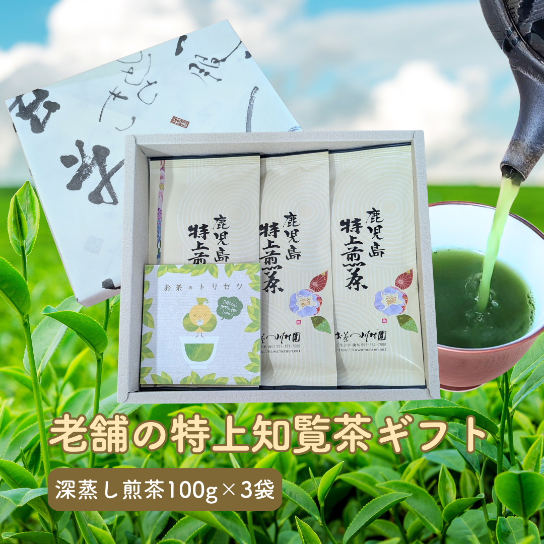 かごしま知覧茶「鹿児島特上煎茶」100g×3袋ギフトセット 深蒸し煎茶