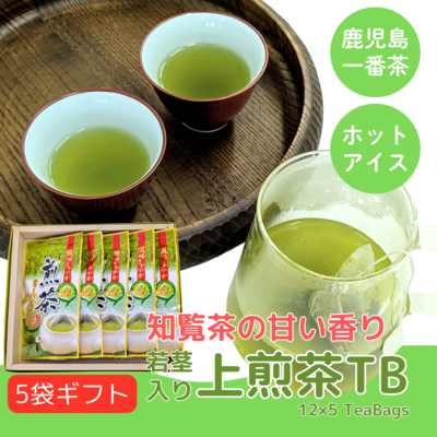 知覧茶 上煎茶ティーバッグ 5袋ギフトセット （3g×12入り×5袋） かごしま一番茶