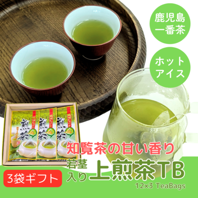 知覧茶 上煎茶ティーバッグ 3袋ギフトセット （3g×12入り×3袋）鹿児島一番茶 