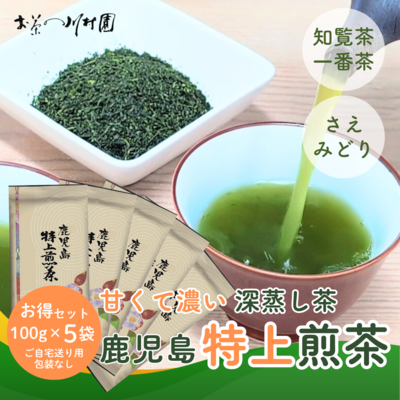 かごしま知覧茶 鹿児島特上煎茶100g×5袋お値打ちセット 鹿児島県産深蒸し煎茶 さえみどり  ※包装不可【メール便選択可能】