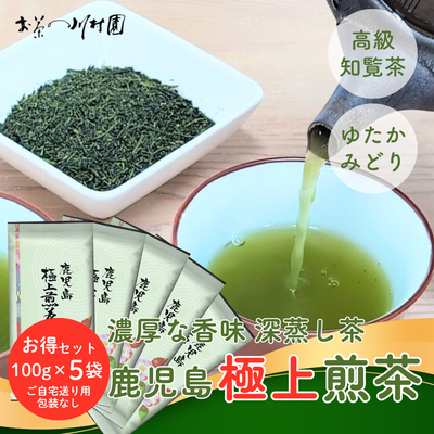 かごしま知覧茶「鹿児島極上煎茶」100g×5袋お値打ちセット 深蒸し煎茶 ゆたかみどり品種 ※包装不可【メール便選択可能】