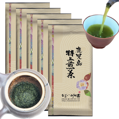 かごしま知覧茶「鹿児島特上煎茶」100g&times;5袋 お徳用セット さえみどり品種 深蒸し煎茶 2026年産一番茶【メール便OK（包装は不可）】