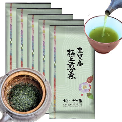 かごしま知覧茶「鹿児島極上煎茶」100g&times;5袋 お徳用セット ゆたかみどり品種 深蒸し煎茶 2026年産一番茶【メール便OK（包装は不可）】