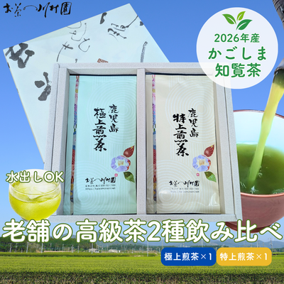 高級知覧茶 鹿児島深蒸し煎茶100g&times;2袋詰合せ（ゆたかみどり・さえみどり）2026年産一番茶