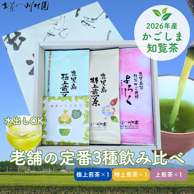 かごしま知覧茶定番3袋詰合せ おすすめギフト（極上1袋・特上1袋・よろしく1袋） 鹿児島県産深蒸し煎茶