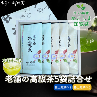 高級知覧茶 鹿児島深蒸し煎茶100g&times;5袋詰合せ（ゆたかみどり・さえみどり）2026年産一番茶