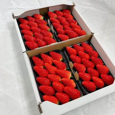 藤田農園通販
