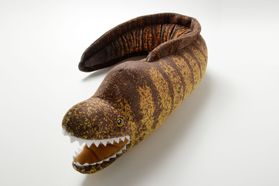 ウツボのぬいぐるみ 巨大！ウツボのぬいぐるみ | 生物園オンラインショップ