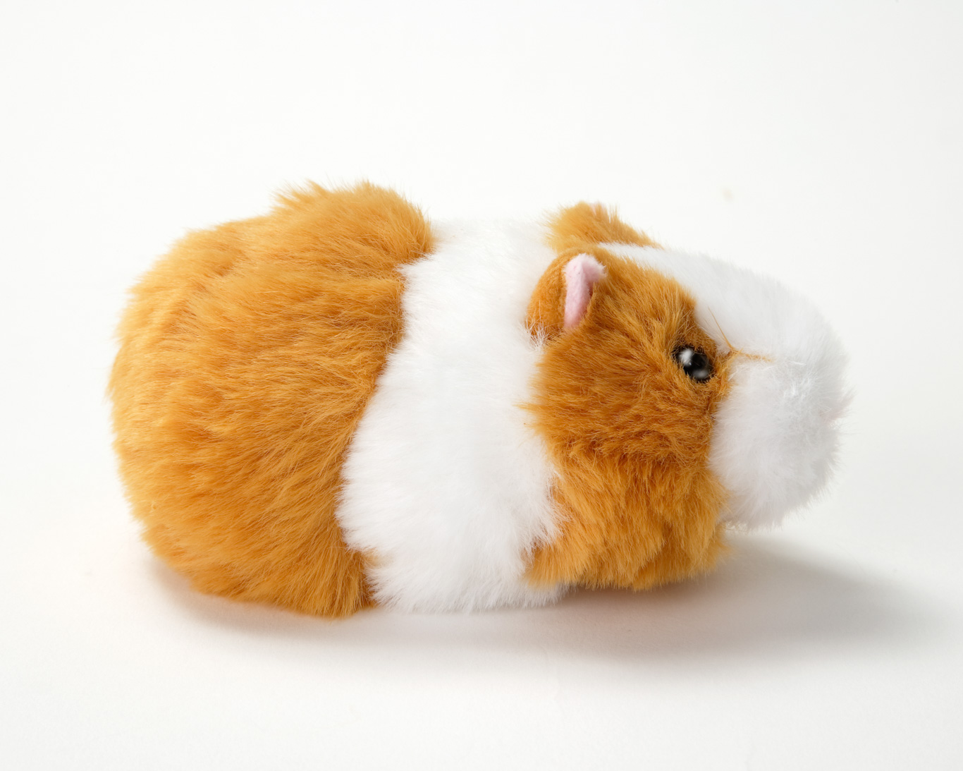 MOUMOUモルモット（ぬいぐるみ） SSサイズ | 生物園オンラインショップ