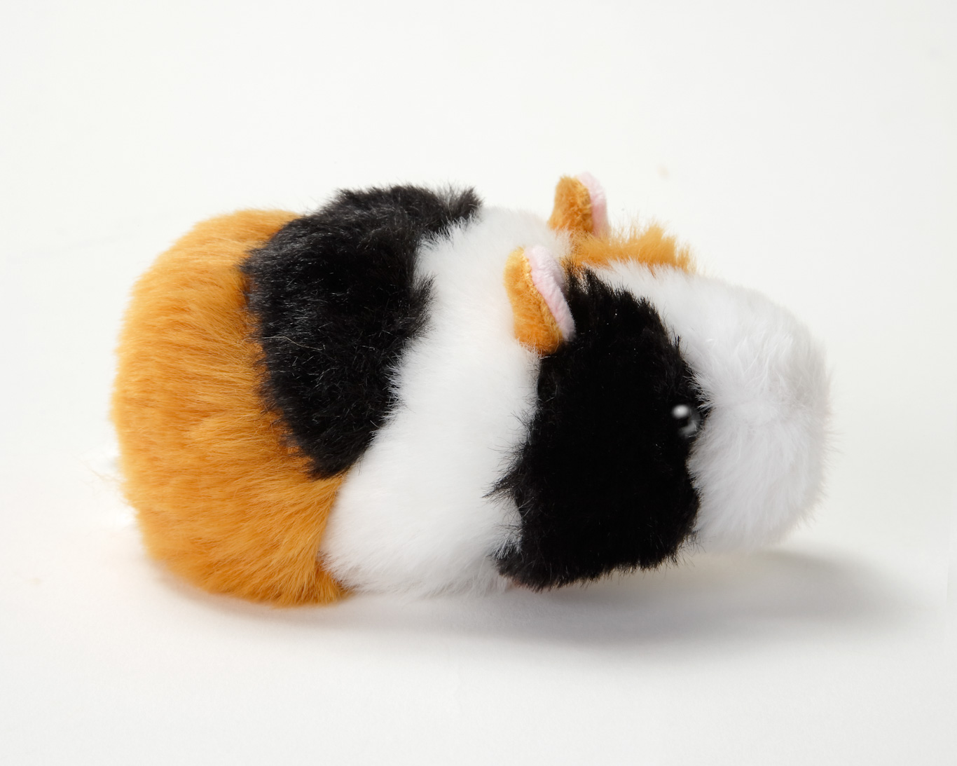 ゆず☆モルモット服 こどもサイズ3点おとなサイズ1点 MOUMOUモルモット（ぬいぐるみ） SSサイズ | 生物園オンライン