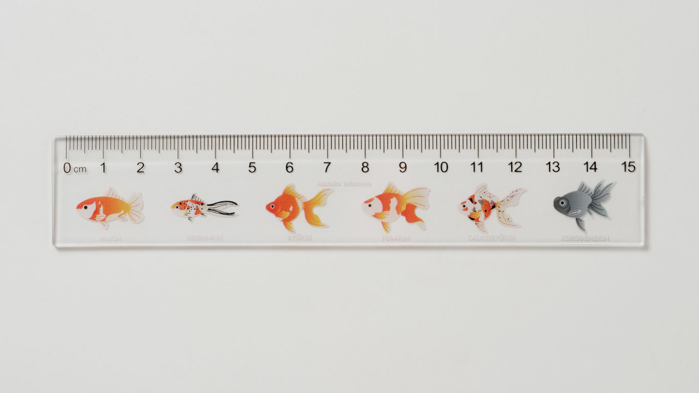 オリジナル】金魚定規 | 生物園オンラインショップ