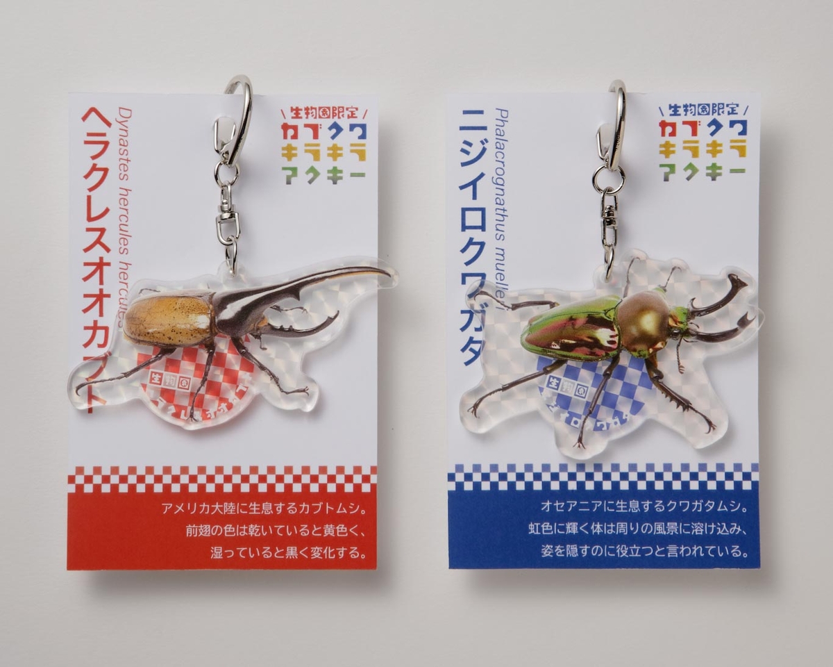 〖アクキー〗キラキラ アクリルキーホルダー 楽天市場】オーロラニコイチキーホルダー ガールズ 2個セット