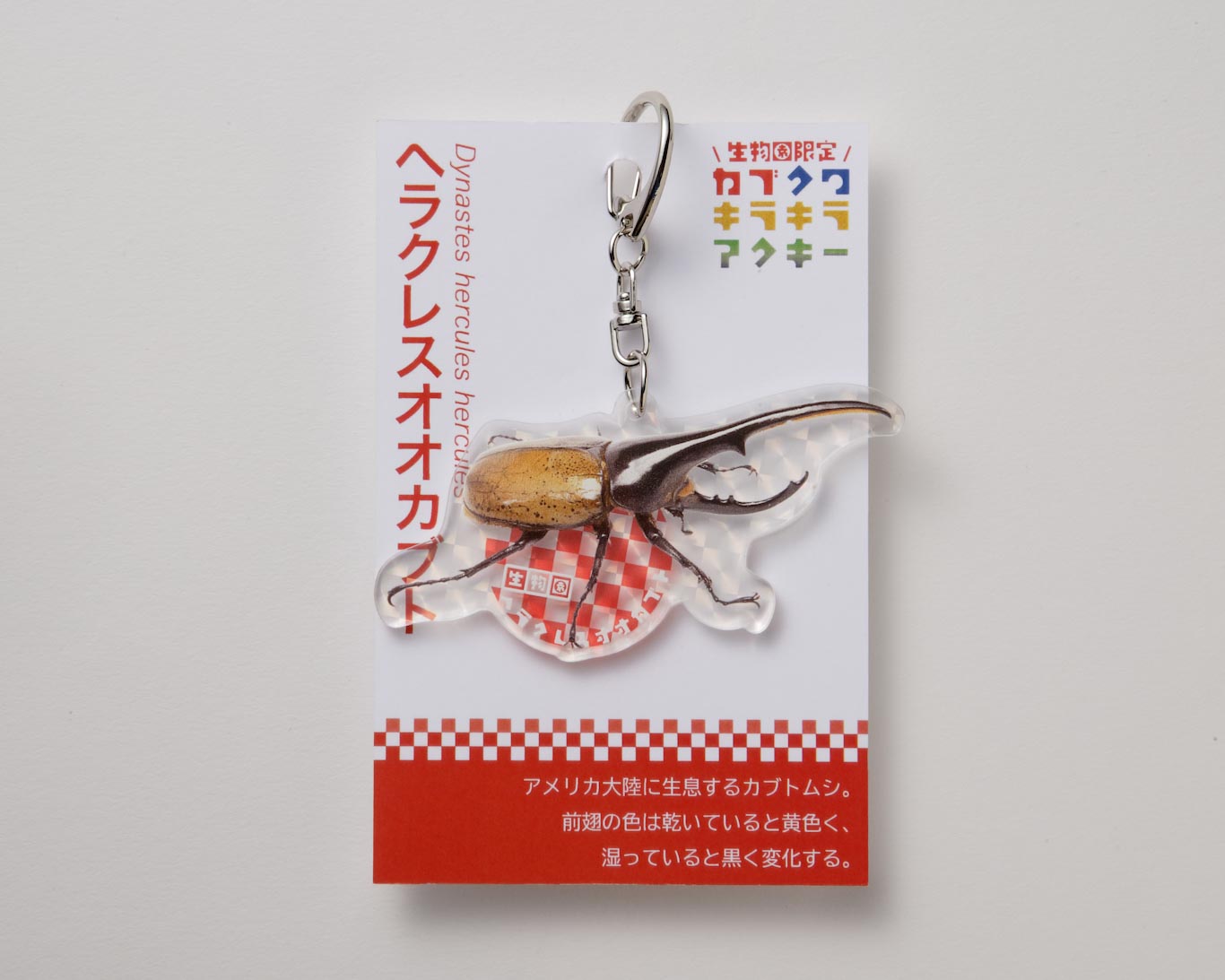 オリジナル】カブクワキラキラアクキー | 生物園オンラインショップ