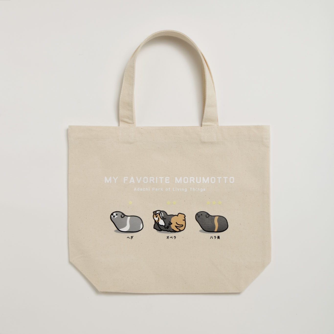 オリジナル】お気に入りのモルを自由に選べる！MY FAVORITE モルモット