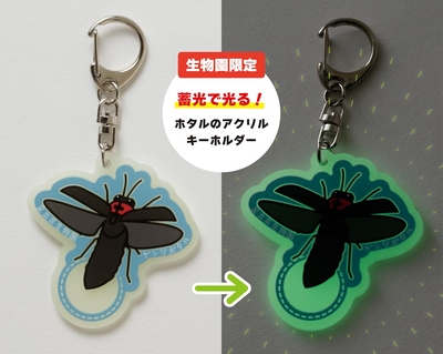 オリジナル】カブクワキラキラアクキー | 生物園オンラインショップ