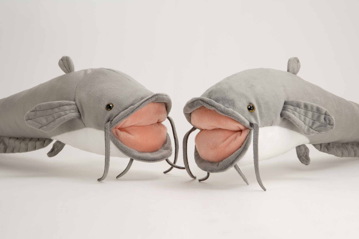 ナマズのぬいぐるみ | 生物園オンラインショップ