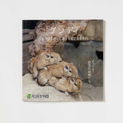 【オリジナル】生物園写真集③　グンディ photo collection～ようこそ砂漠の妖精たち～