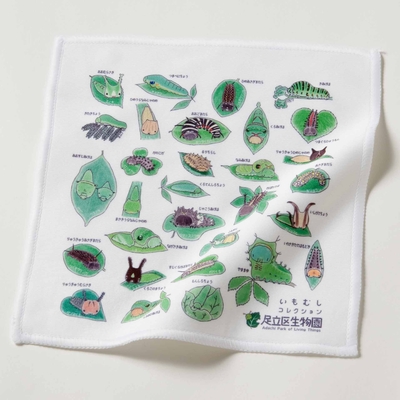 【オリジナル】生物園ハンカチ　いもむしコレクション