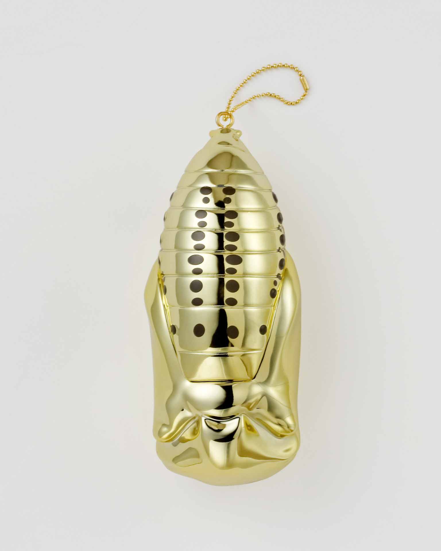 DIGBUGソフビ オオゴマダラのさなぎ | 生物園オンラインショップ