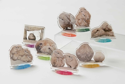 【オリジナル】砂漠の妖精！グンディアクリルスタンド（全8種）☆ブラインド商品☆