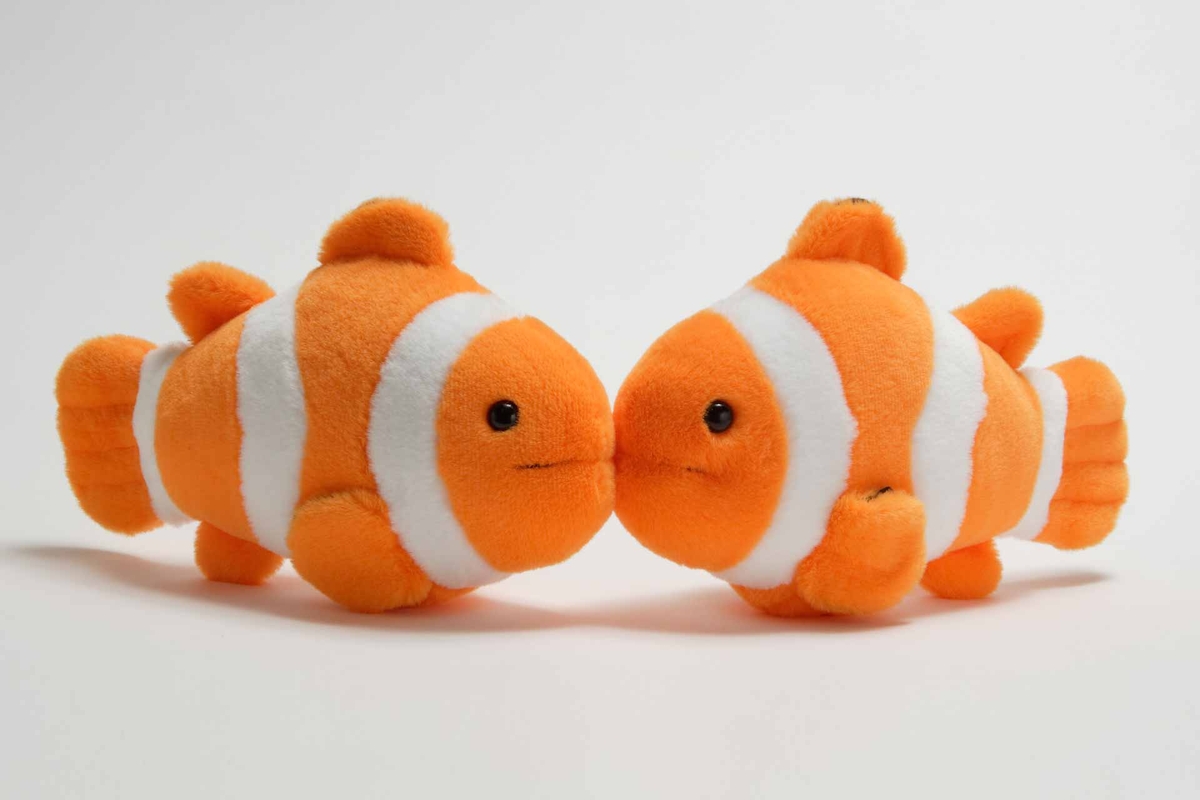 魚型ぬいぐるみ キーチェーン付き　ナンヨウハギ クマノミ・ナンヨウハギのぬいぐるみ | 生物園オンラインショップ