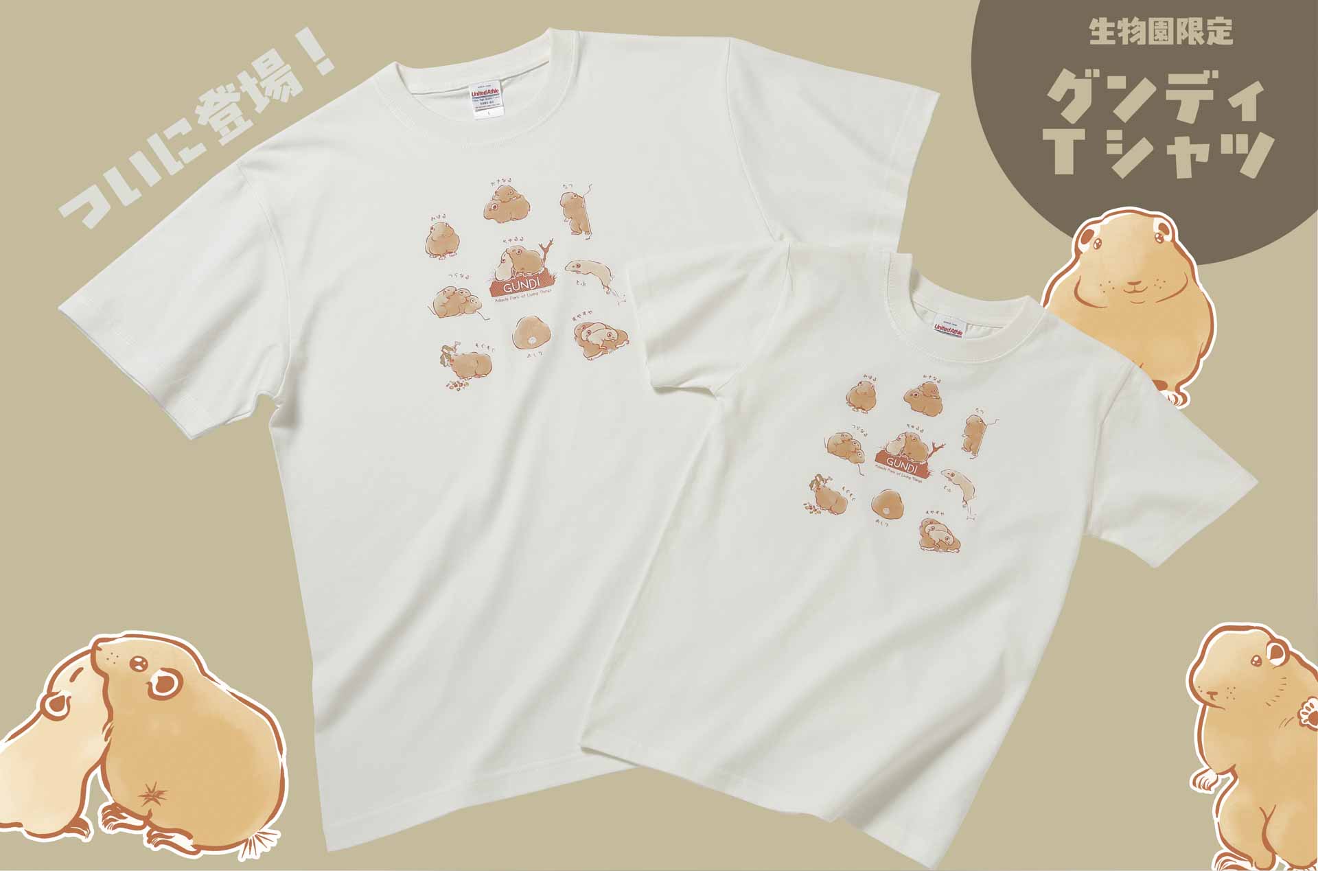 グンディTシャツ