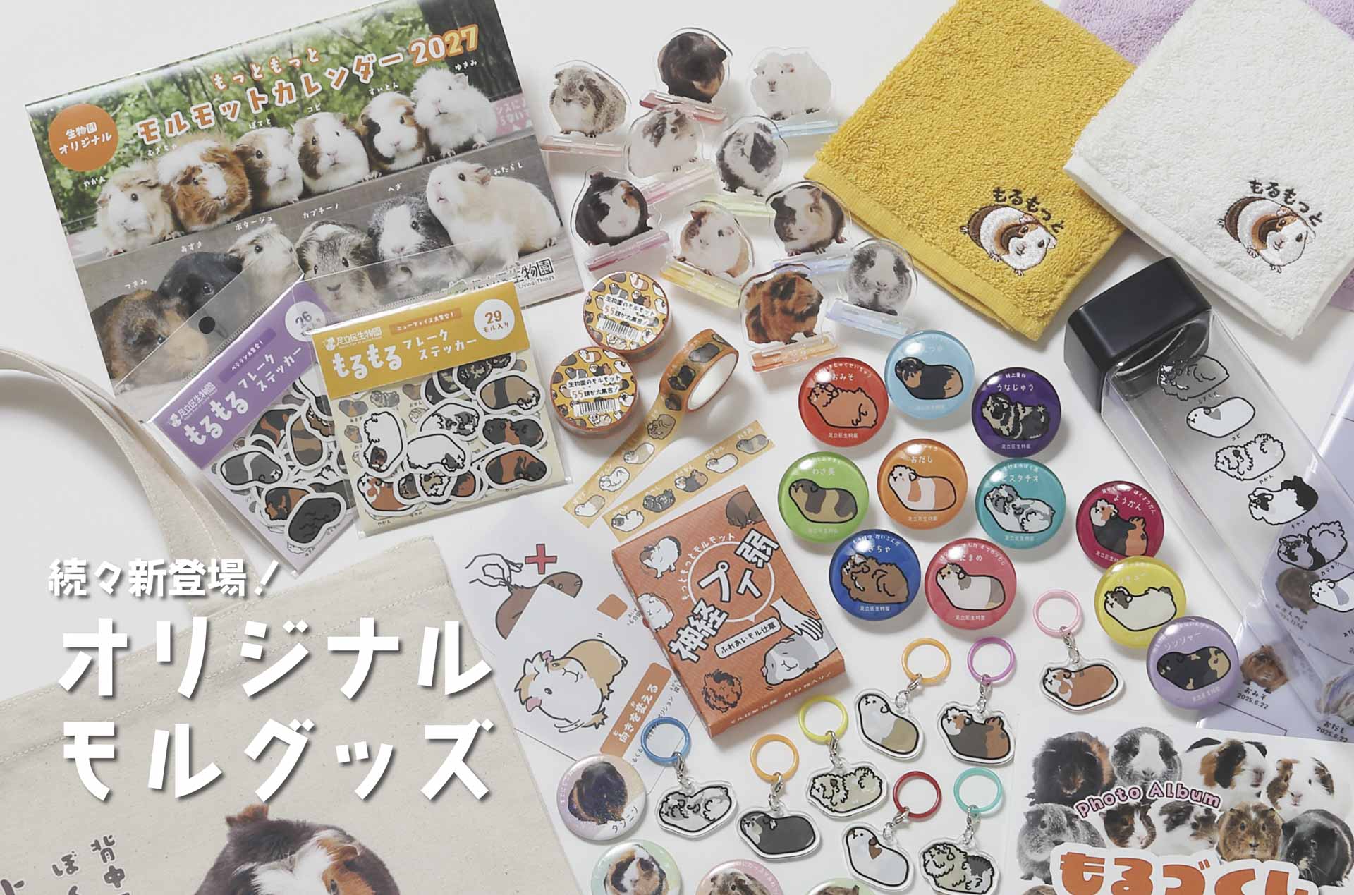 モルモットグッズ