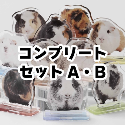 【オリジナル】もっともっとモルモットアクリルスタンド☆コンプリートセット☆