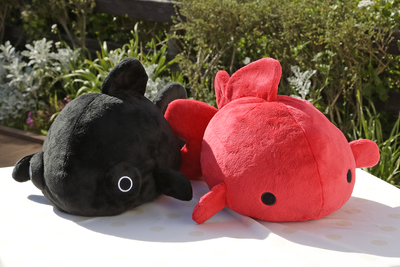 新品　くせものシリーズ　もちぷに金魚BIG　黒出目金　ぬいぐるみ　ビッグ 新品 くせものシリーズ もちぷに金魚BIG 黒出目金 ぬいぐるみ