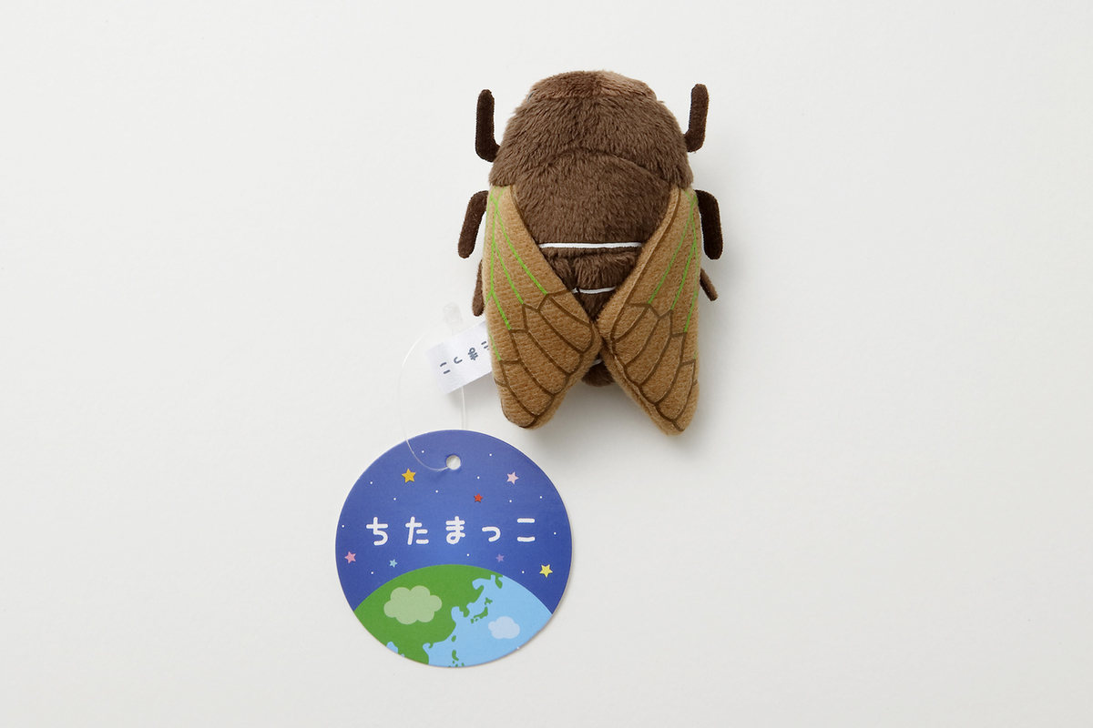 セミのぬいぐるみ【マグネット】 | 生物園オンラインショップ