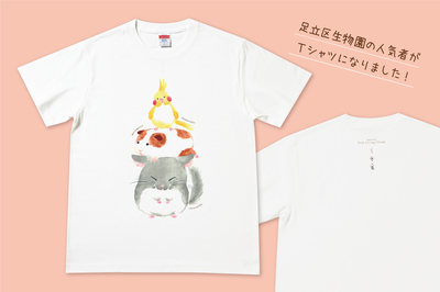 生物園限定】絶滅危惧種Tシャツ ツシマウラボシシジミ | 生物園