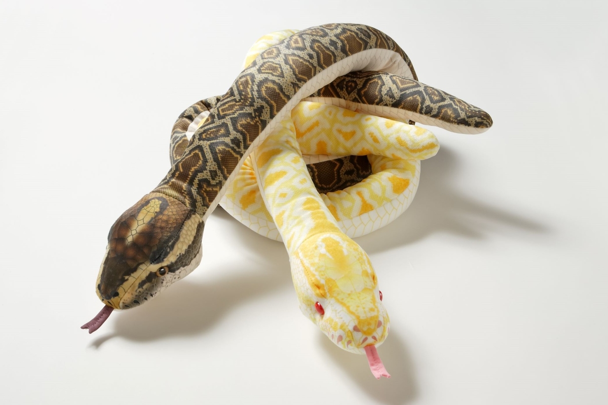 動物の惑星　シロクチニシキヘビ（シークレット）★ sddefault.jpg