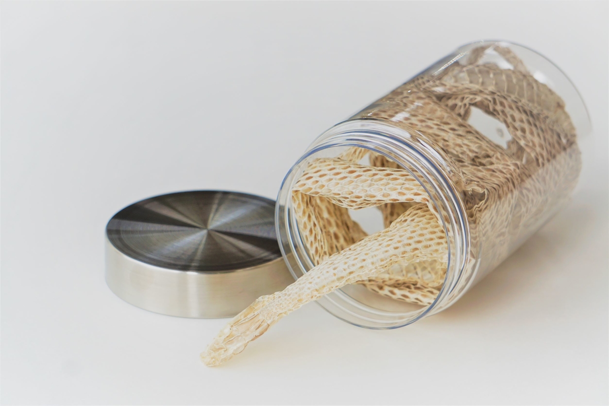 アオダイショウとシマヘビの抜け殻 8点