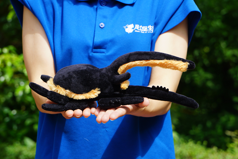 ネプチューンオオカブトのぬいぐるみ | 生物園オンラインショップ