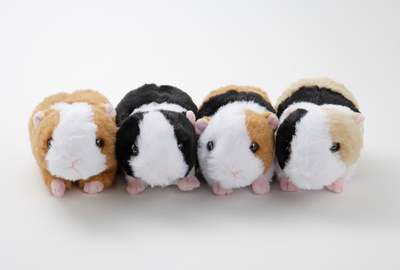 モルモットのぬいぐるみ | 生物園オンラインショップ