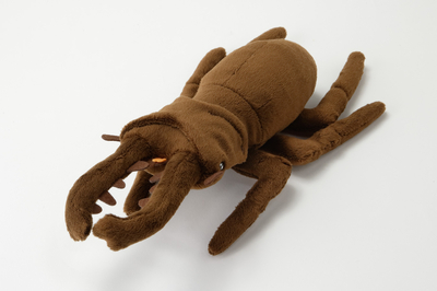 巨大！ウツボのぬいぐるみ | 生物園オンラインショップ