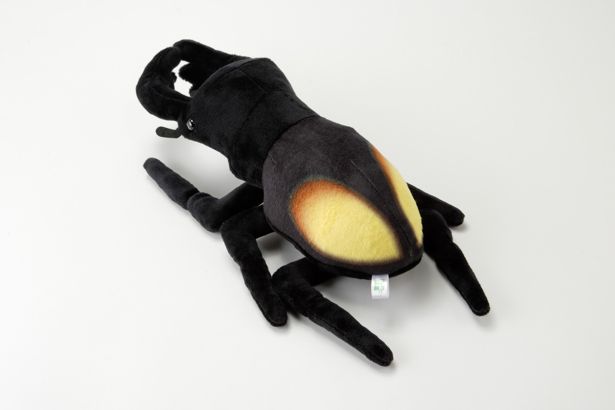 パリーフタマタクワガタのぬいぐるみ | 生物園オンラインショップ