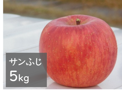 サンふじ 5kg箱（15玉前後）