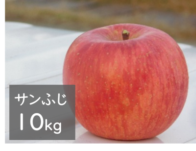 サンふじ 10kg箱（32玉前後）