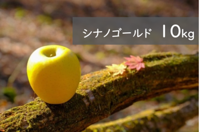 シナノゴールド 10kg箱（32玉前後）