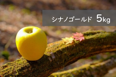シナノゴールド 5kg箱（15玉前後）