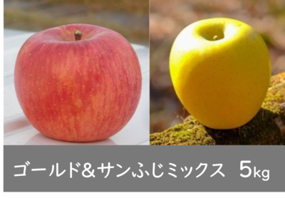 ミックス【シナノゴールド＆サンふじ】 5kg箱（15玉前後）
