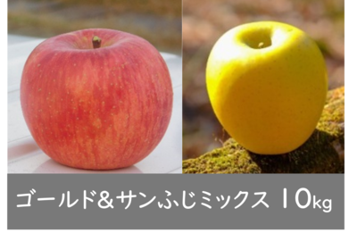 ミックス【シナノゴールド＆サンふじ】 10kg箱（32玉前後）