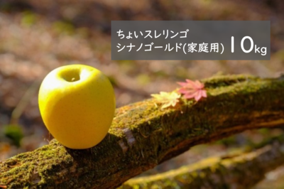ちょいスレリンゴシナノゴールド(家庭用) 10kg箱（32玉前後）