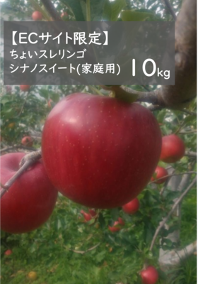 【ECサイト限定販売】ちょいスレリンゴシナノスイート（家庭用） 10kg箱（32玉前後）