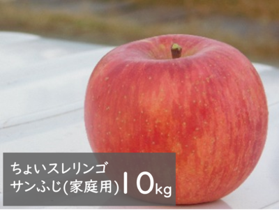 ちょいスレリンゴサンふじ（家庭用） 10kg箱（32玉前後）