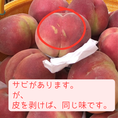 8/17最終発送！農家直送　朝採り信州産ワッサー約5kg(13〜20玉)10 ワッサー 通販 産地直送 信州産 農家直送の新鮮なももを食べるなら