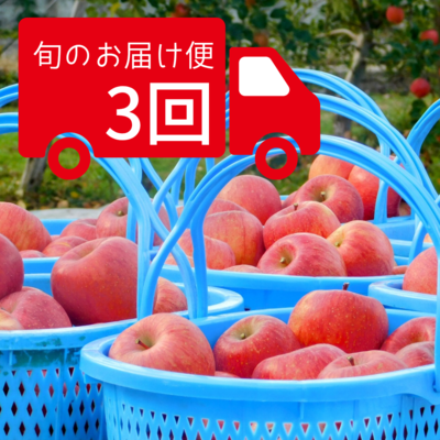 旬のリンゴお届け便（今シーズン3回のお届け）