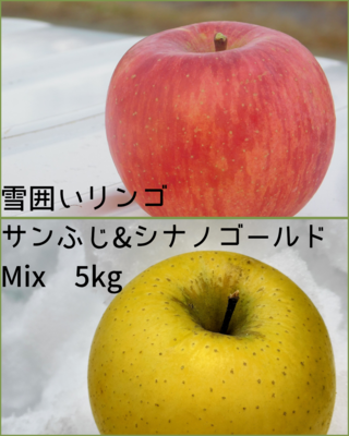 雪囲いリンゴ：サンふじ＆シナノゴールド 5kg箱（20玉前後）